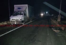 FOTO // Accident GRAV la Troița Nouă. Un cal a murit, iar două persoane au ajuns la spital